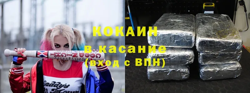 ссылка на мегу ссылки  купить закладку  Камышлов  КОКАИН FishScale 