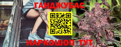 гашик Бийск