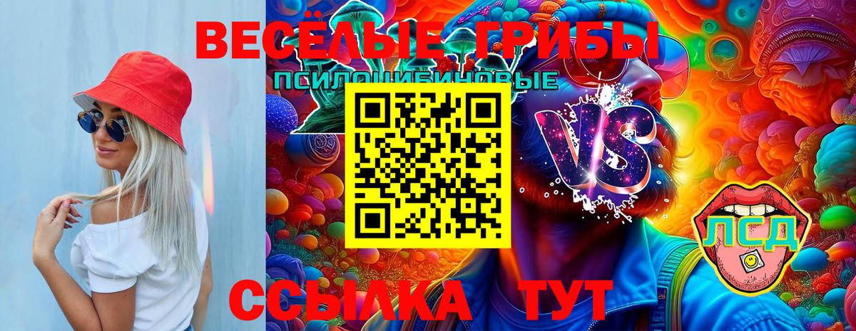 Галлюциногенные грибы Psilocybe  Вход с VPN  Псилоцибиновые грибы MAGIC MUSHROOMS  Камышлов 