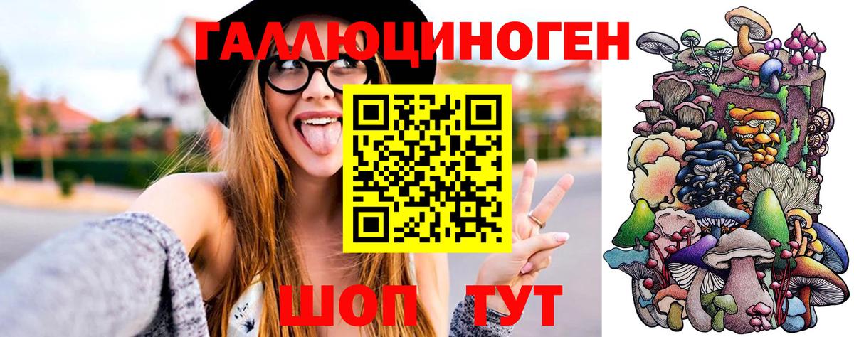 Псилоцибиновые грибы GOLDEN TEACHER  Галлюциногенные грибы Cubensis  Камышлов 